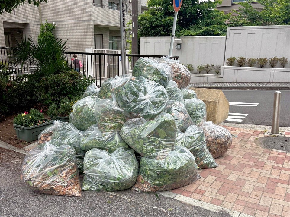 11大野公園